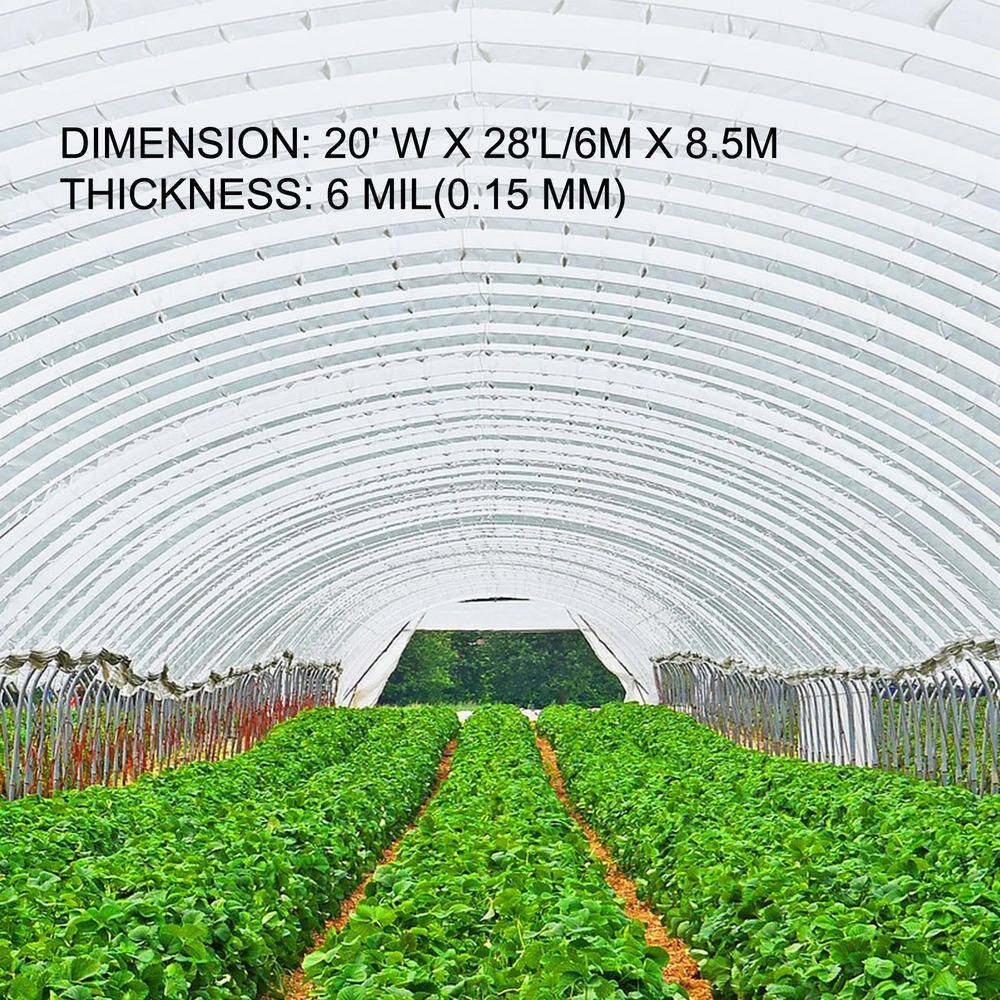 20 ft. W x 28 ft. D x 20 ft. H Polyethylene Clear Plastic Greenhouse Film with UV Resistant, Durable & High Tenacity - Hercitys