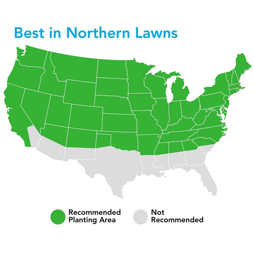 25 lbs. 5,000 sq. ft. Turf Sense Athletic Field Mix Grass Seed - Hercitys