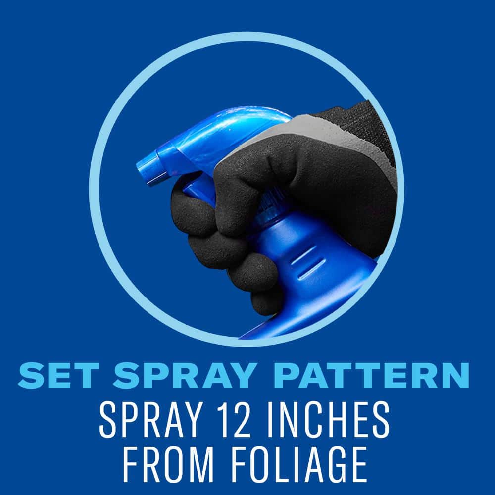 32 oz. Brush Killer Plus Ready To Use (2-Pack) - Hercitys