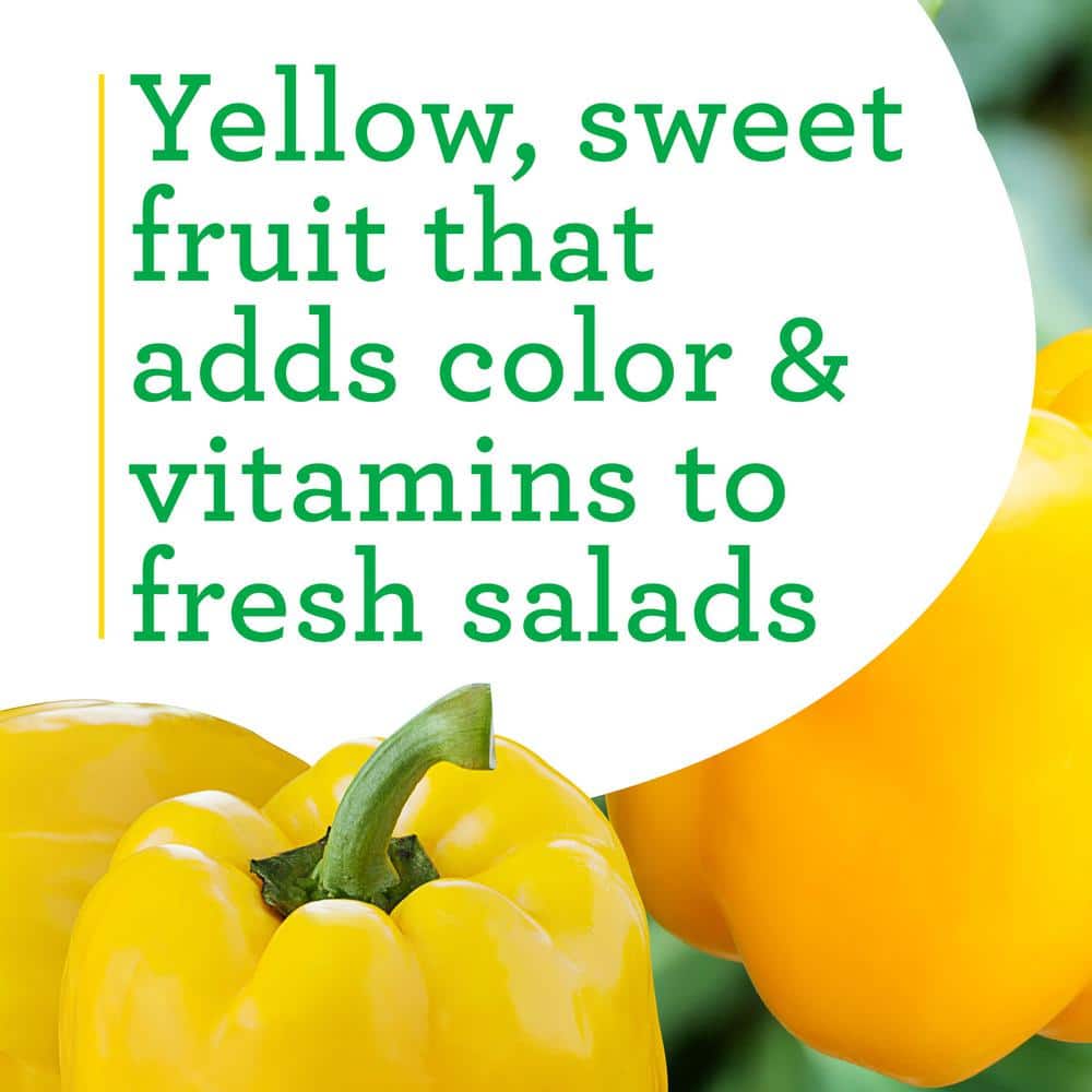 19 oz. Yellow Bell Pepper Plant (2-Pack) - Hercitys