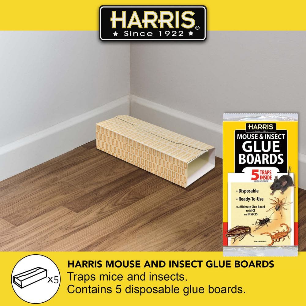 1 Gal. Home Pest Spray and Pest Glue Board (5-Pack) - Hercitys
