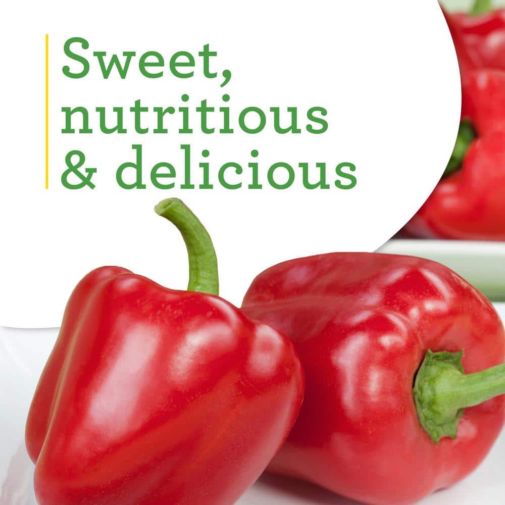 19 oz. Sweet Red Bell Pepper Plant (2-Pack) - Hercitys