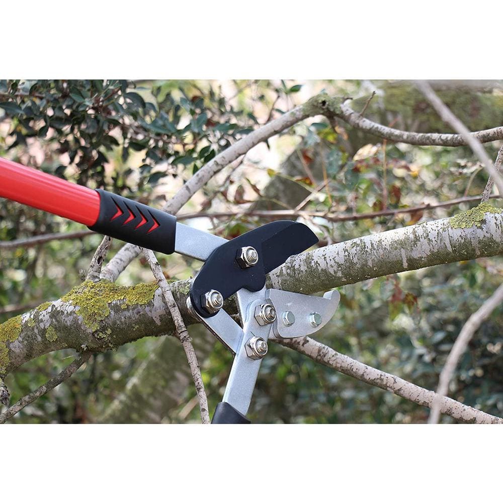 30 in. Tree Trimmer, Branch Cutter with 2 in. Cutting Capacity, Lopper - Hercitys