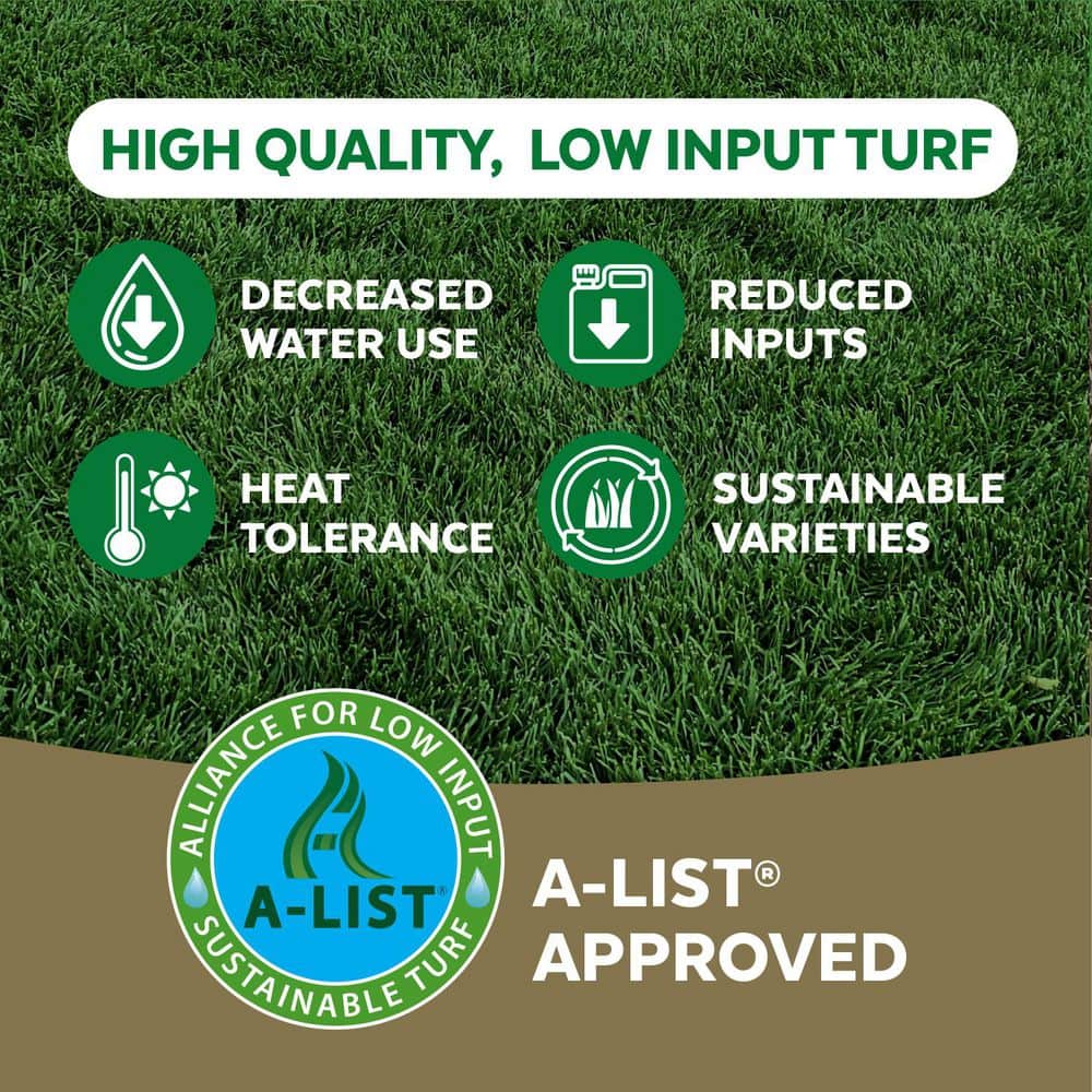 5 lbs. Sun and Shade Repair Mulch, Grass Seed and Fertilizer Combination - Hercitys