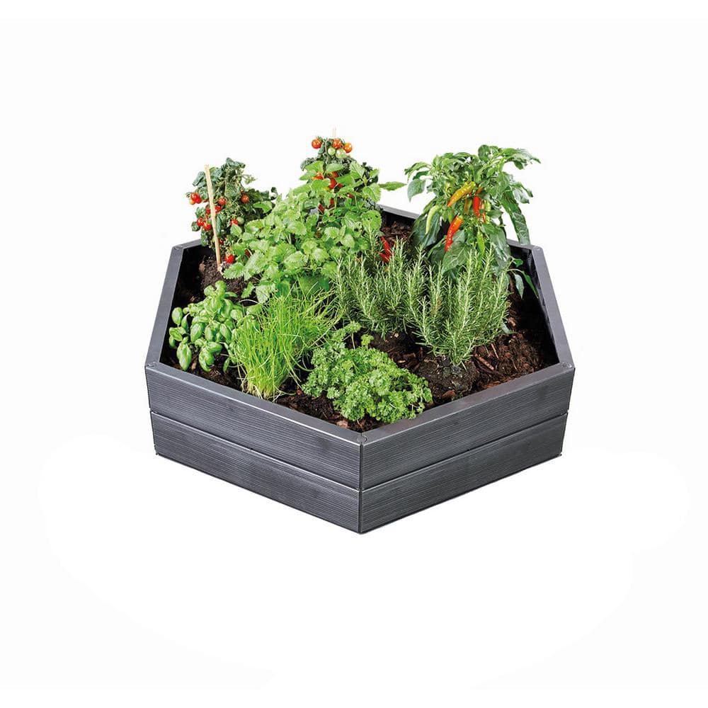 43.5 in. W x 43.5 in. L x 10 in. H Anthracite Hexagonal Plastic Modular Raised Bed - Hercitys