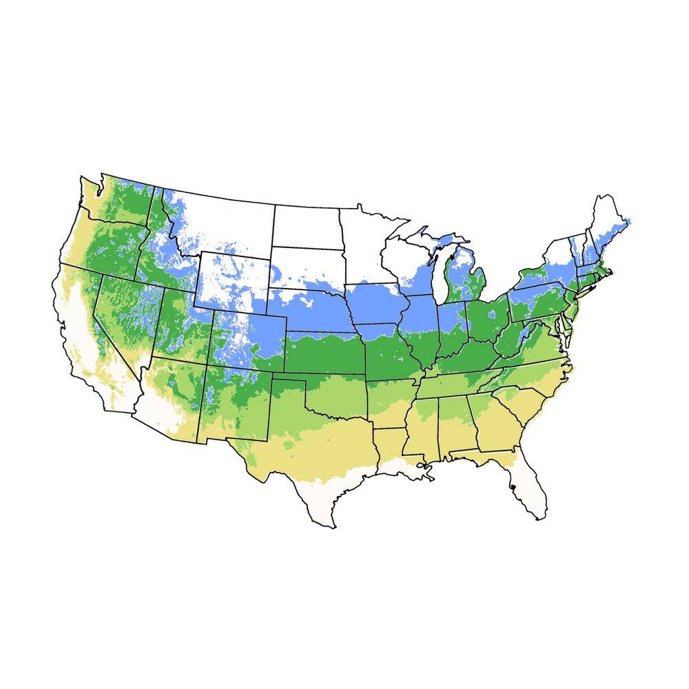 5 gal. Gold Rush Apple Tree - Hercitys