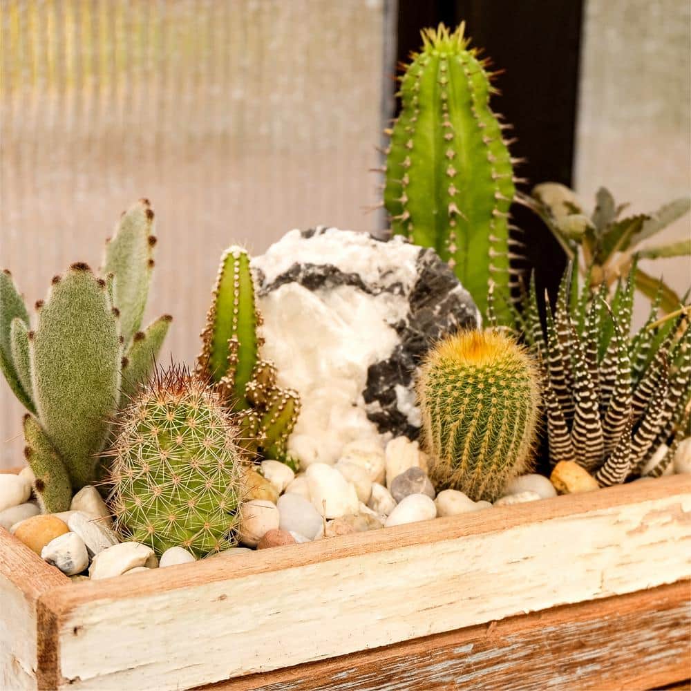 0.125 cu. ft. 1/2 in. to 1 in. 10 lbs. Green Polynesian Landscape Rock for Gardens, Potted Plants and Terrariums - Hercitys