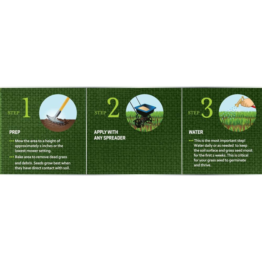 12 lbs. 1-Step Lawn Thickener All-In-One Grass Seed and Fertilizer Sun and Shade Overseeding Mix - Hercitys