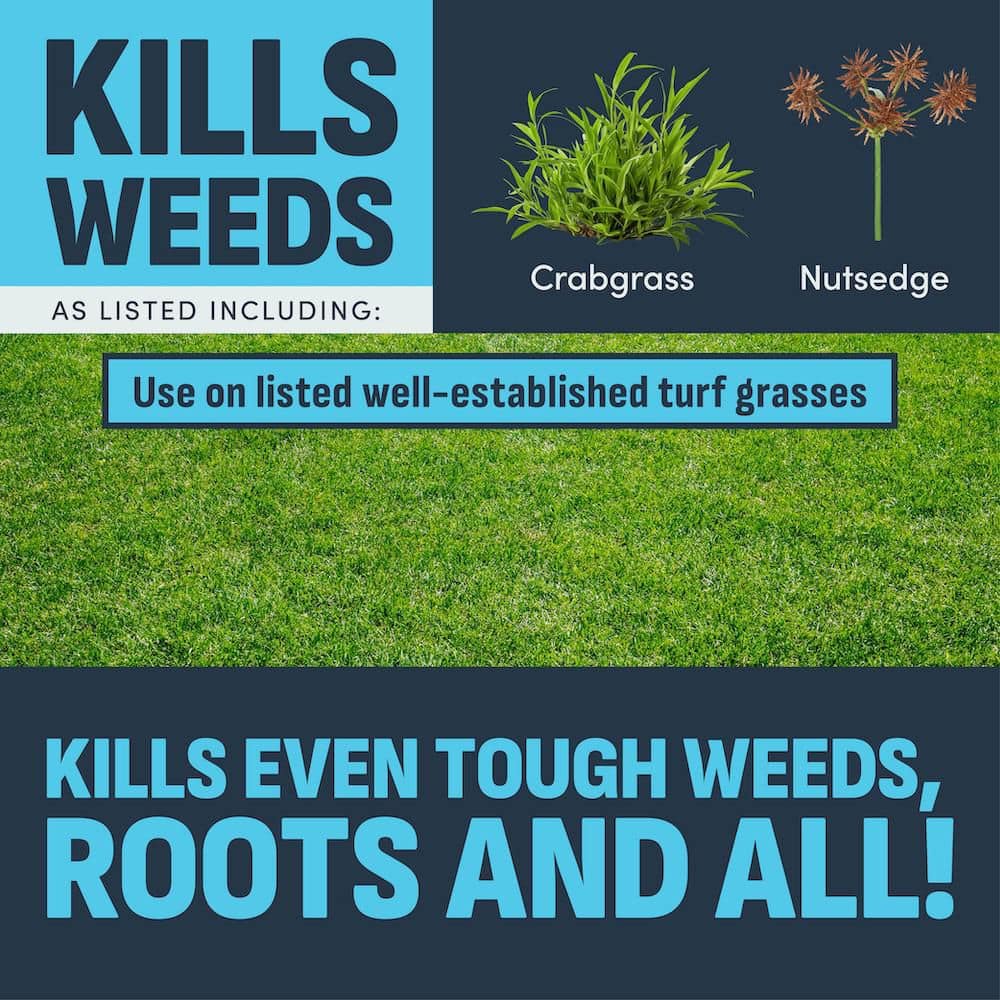 24 oz. 6,000 sq. ft. All-In-One Lawn Weed Killer Concentrate for 100-Plus Weed Types - Hercitys