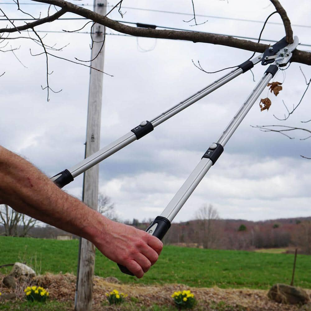 26 in. Kings County Tools Anvil Lopper Tree Trimmer - Hercitys