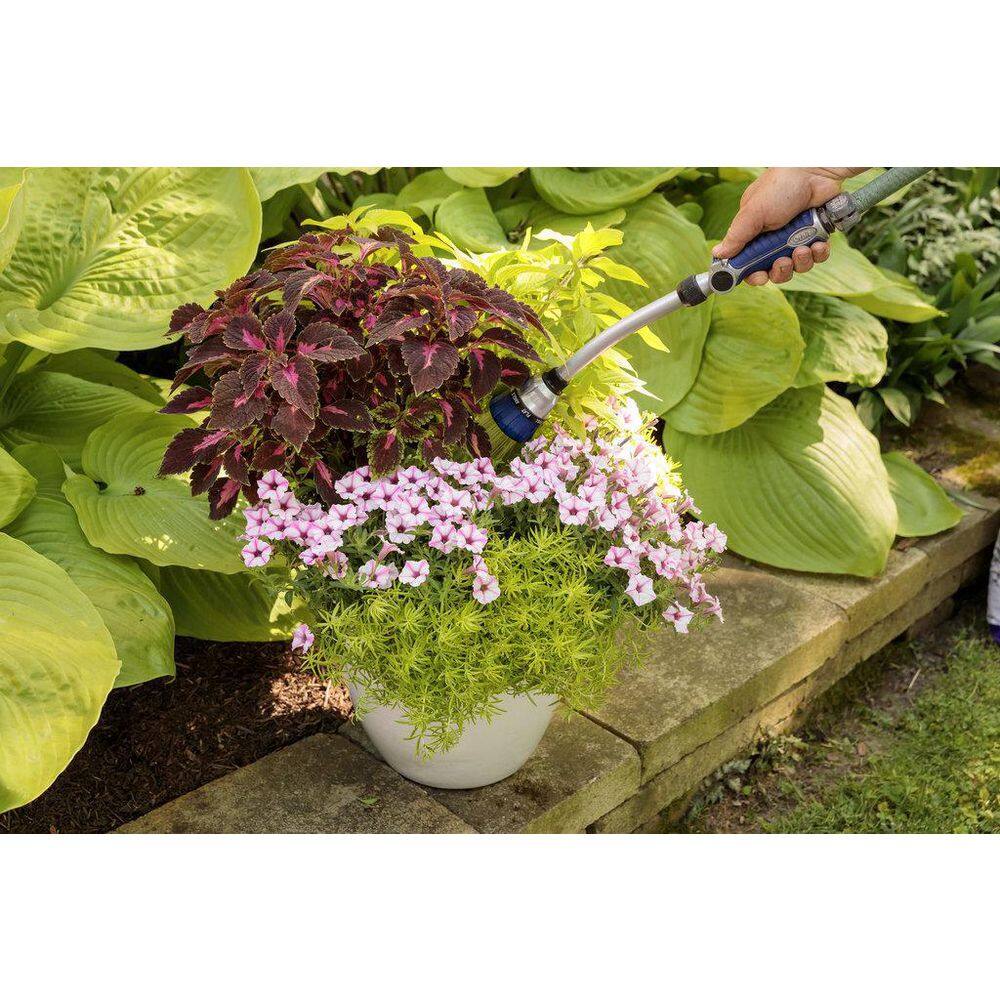 4.25 in. Eco+Grande Supertunia Mini Vista Pink Star (Petunia) Live Plant, Light Pink and White Striped Flowers (4-Pack) - Hercitys