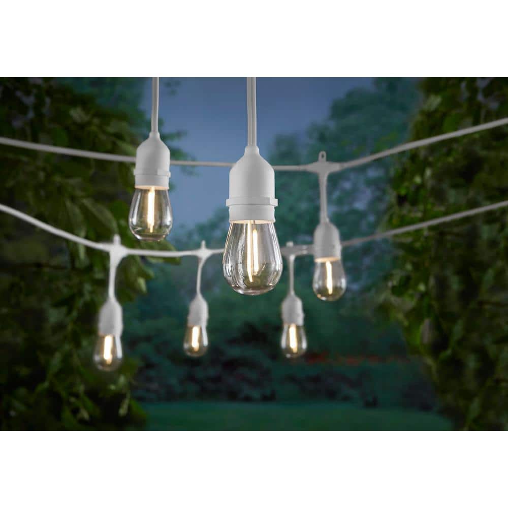 12-Light 24 ft. Indoor/Outdoor Plug-In Edison Bulb String Light with S14 Single Filament LED Bulbs in White Cord - Hercitys