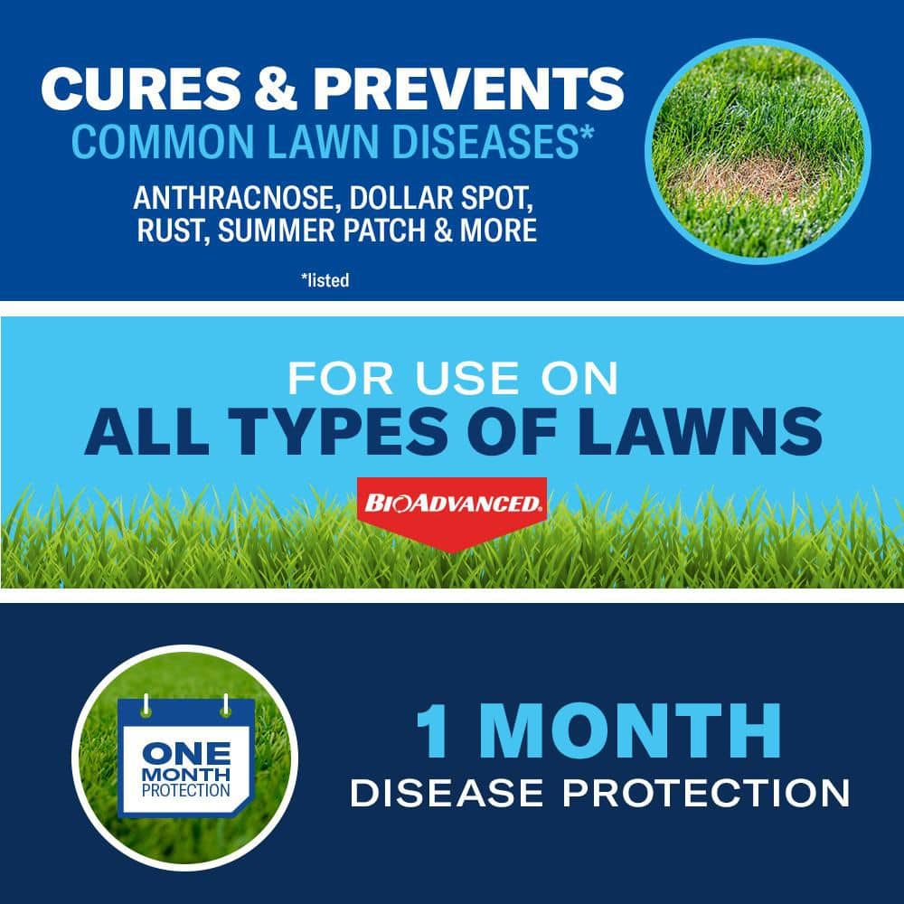 32 oz. Ready-to-Spray Fungus Control for Lawns Fungicide - Hercitys