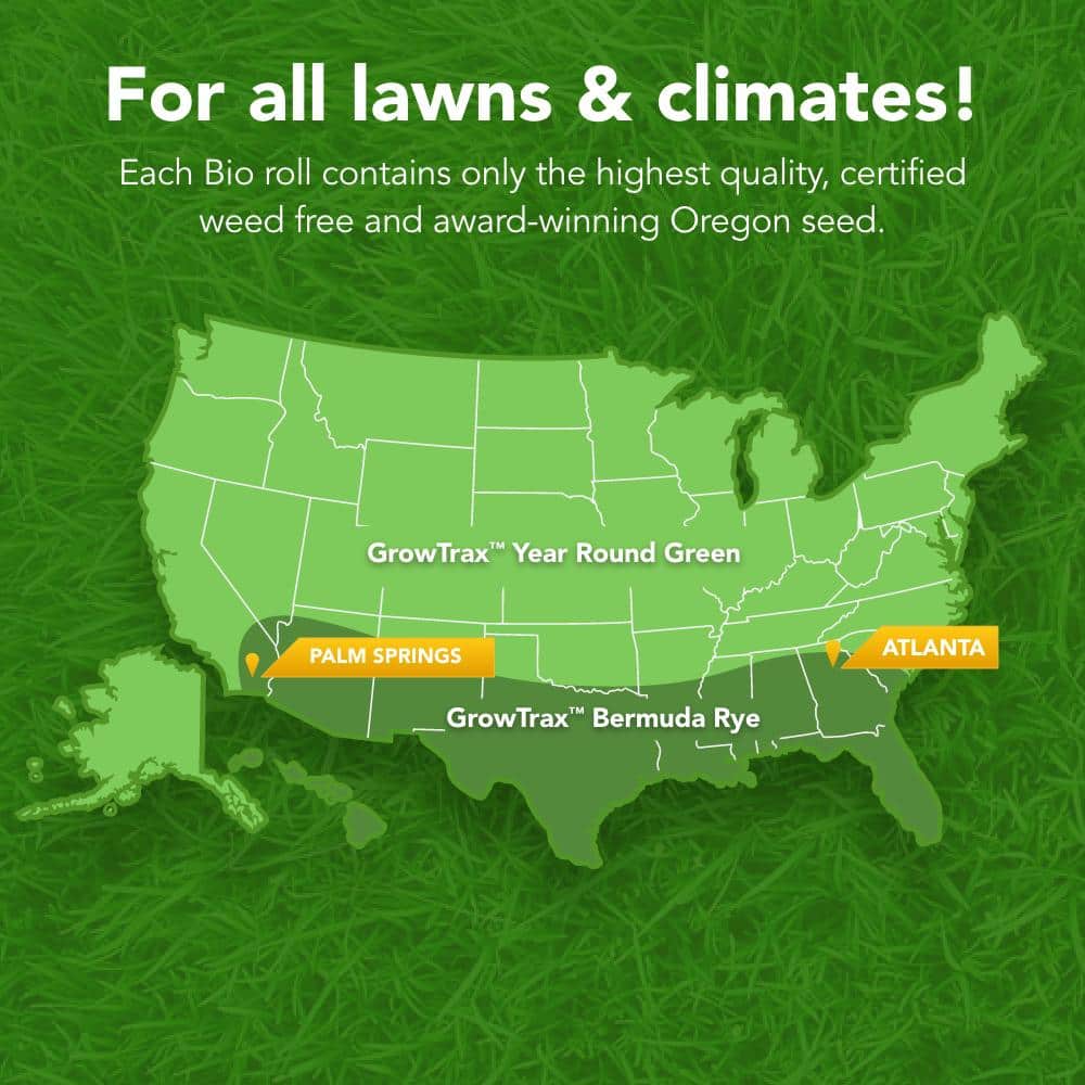 50 sq. ft. Quick Fix Year Round Green Mixture - Hercitys