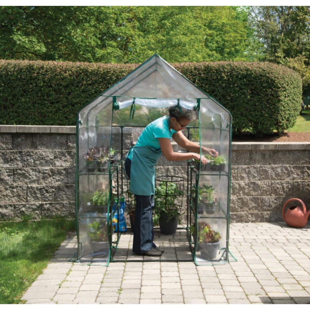 4 ft. x 8 in. x 4 in. x 8 in. x 6 ft. x 5 in. Mini Greenhouse - Hercitys