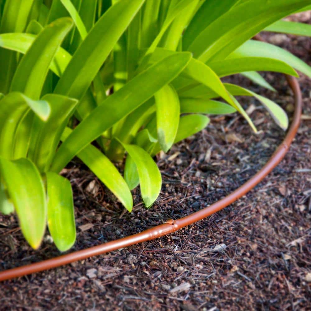 1/4 in. x 100 ft. Dripline with 9 in. Emitter Spacing - Hercitys