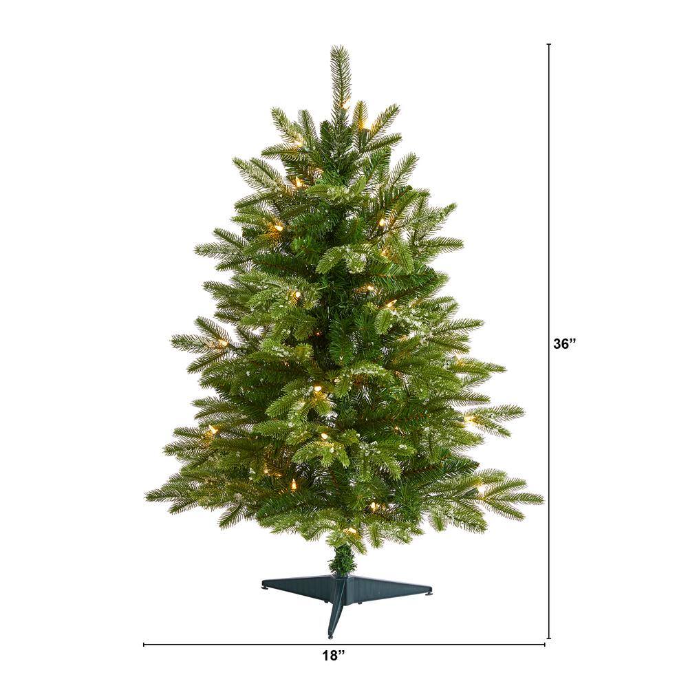 3 ft. Pre-Lit Snowed Grand Teton Fir Artificial Christmas Tree with 50 Clear Lights - Hercitys
