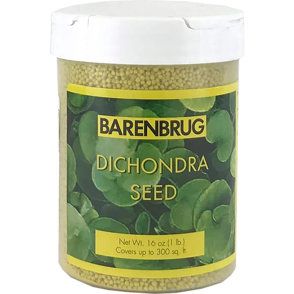 1 lb. Dichondra Grass Seed - Hercitys