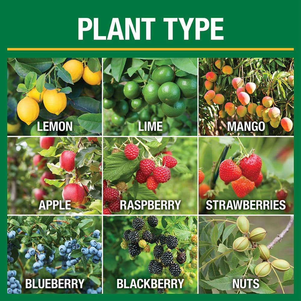 4.2 lb. All Season Fruit, Nut and Citrus Fertilizer Spikes (16-4-8) (15-Count) - Hercitys