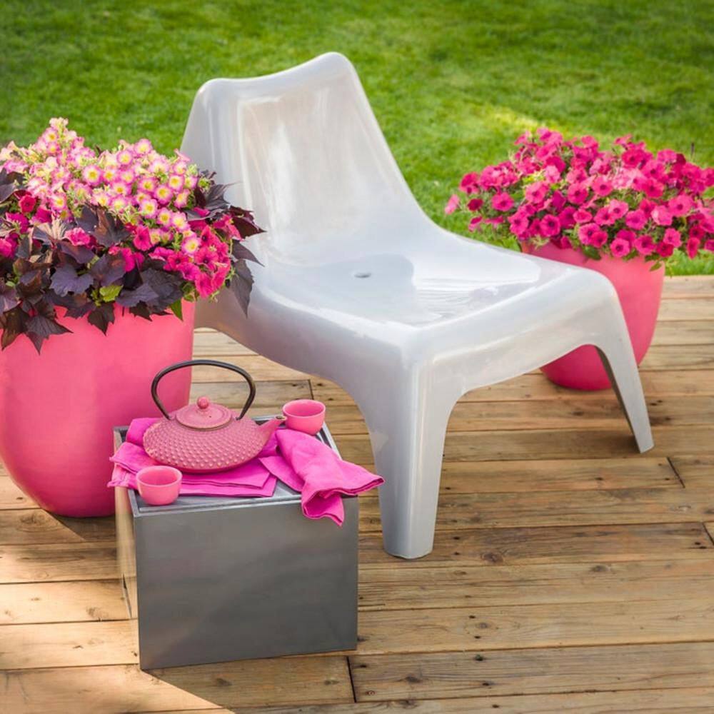 4.25 in. Eco+ Grande Supertunia Daybreak Charm (Petunia Hybrid) Live Annual Plant with Pink Flowers 4-Pack - Hercitys