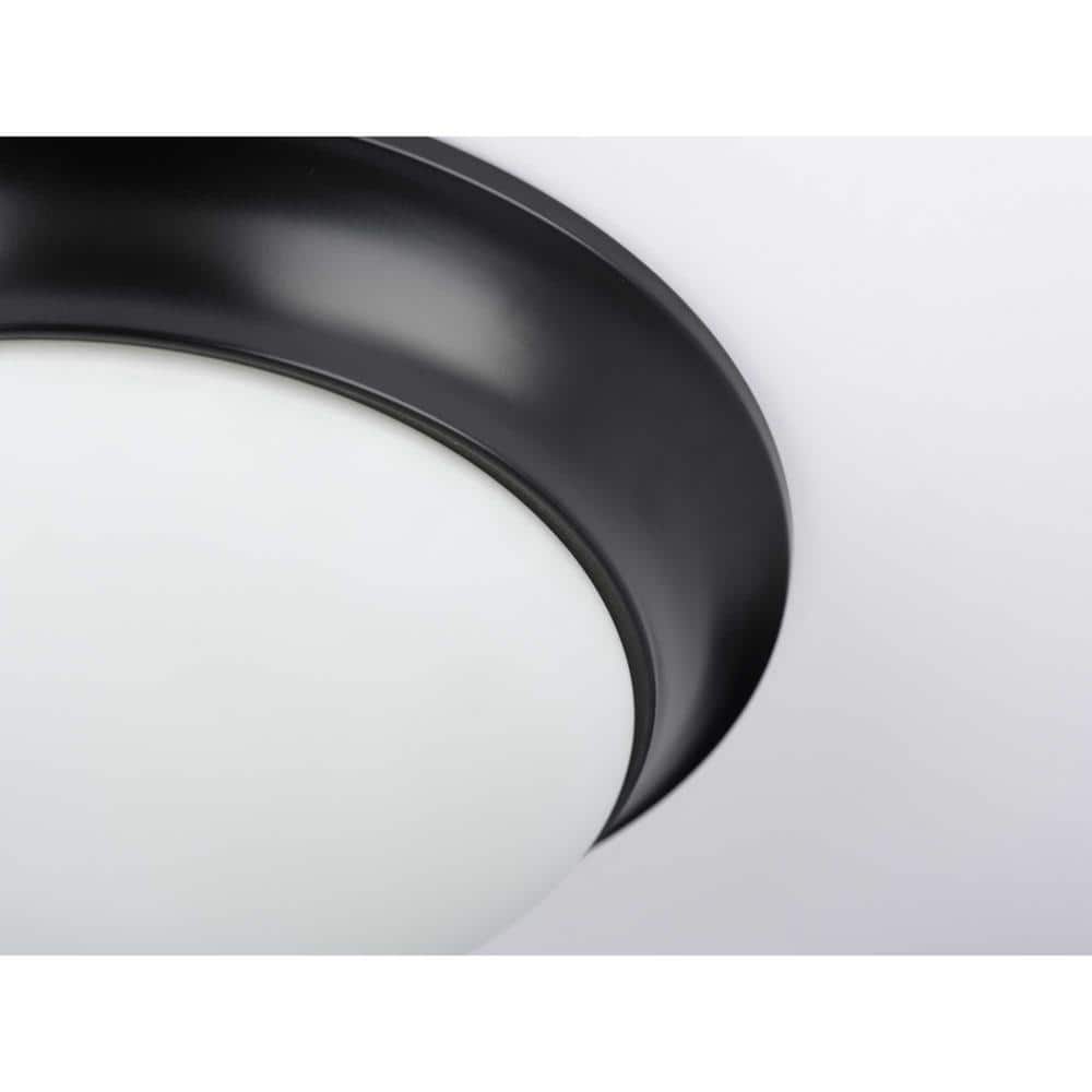 14 in. 2-Light Black Etched Glass Flush Mount - Hercitys