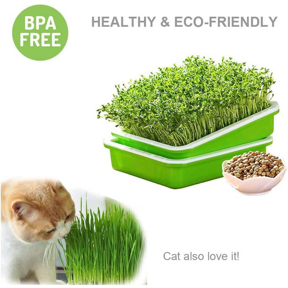 2-Pack Seed Sprouter Tray BPA Free PP Soil-Free Large Capacity Wheatgrass Grower Kit with Lid Green - Hercitys