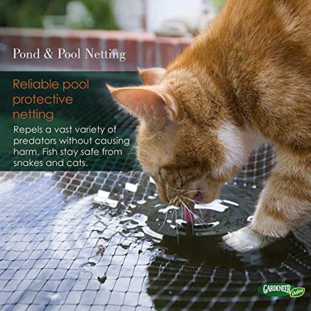 28 ft. x 45 ft. Pond and Pool Netting - Hercitys