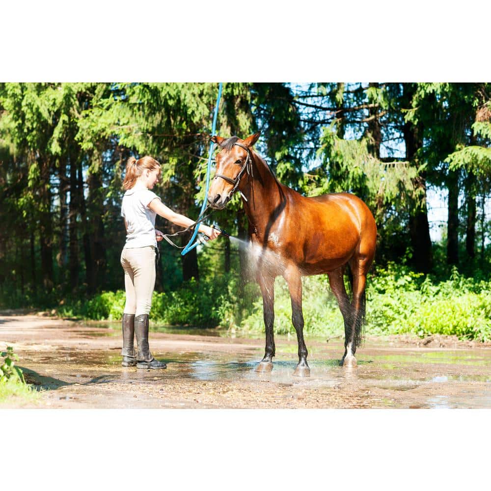 3/4 in. x 150 ft. Heavy-Duty Rubber Water Hose - Hercitys