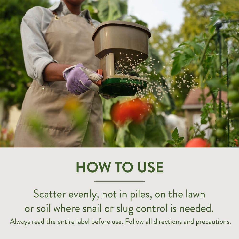 2 lb. Ready-to-Use Slug and Snail Bait Killer - Hercitys