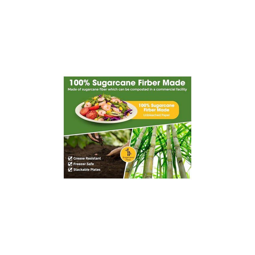 300-Piece Eco-Friendly Disposable Tableware Set with Plates and Cutlery - Hercitys