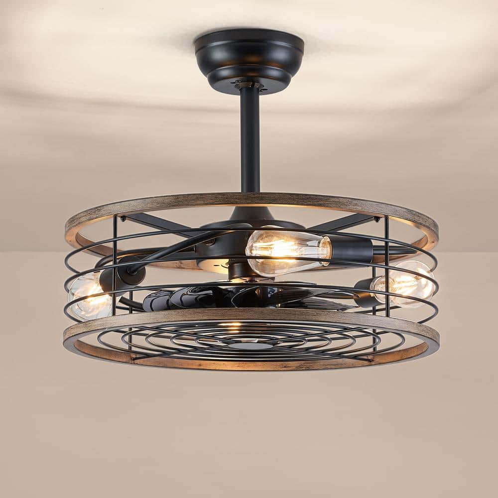 20 in. Indoor 4-Light Small Black Caged Ceiling Fan with Light Farmhouse Enclosed Ceiling fan with Remote - Hercitys