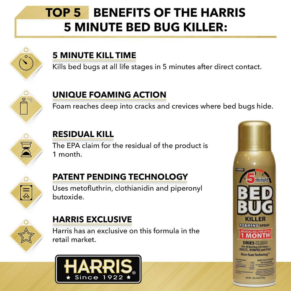 16 oz. 5-Minute Bed Bug Insect Killer Foaming Spray and 8 oz. Diatomaceous Earth Bed Bug Killer Value Pack - Hercitys