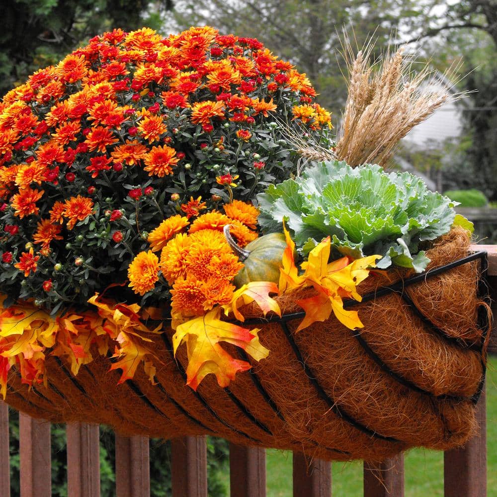 36.00 in. x 9.50 in. Black Steel Window Boxes & Troughs - Hercitys