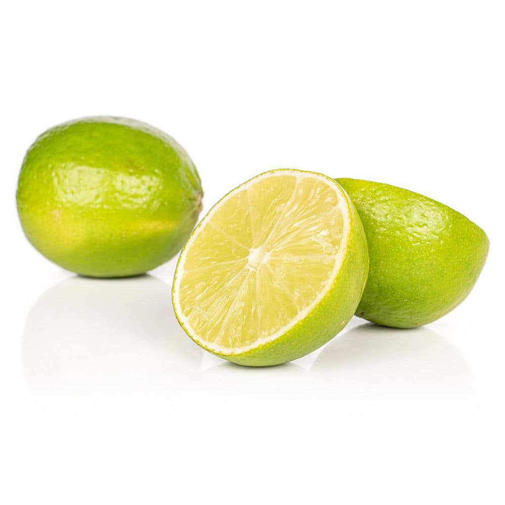 3 Container Bearss Lime Evergreen Tree - Hercitys