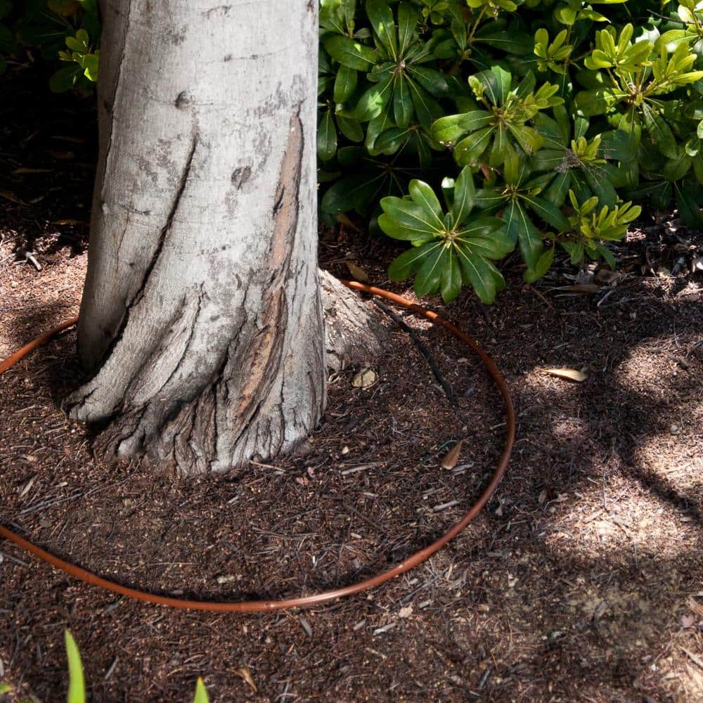 1/4 in. x 100 ft. Dripline with 6 in. Emitter Spacing - Hercitys