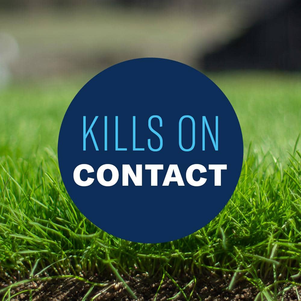 40 oz. Concentrate All-In-1 Lawn Weed and Crabgrass Killer - Hercitys