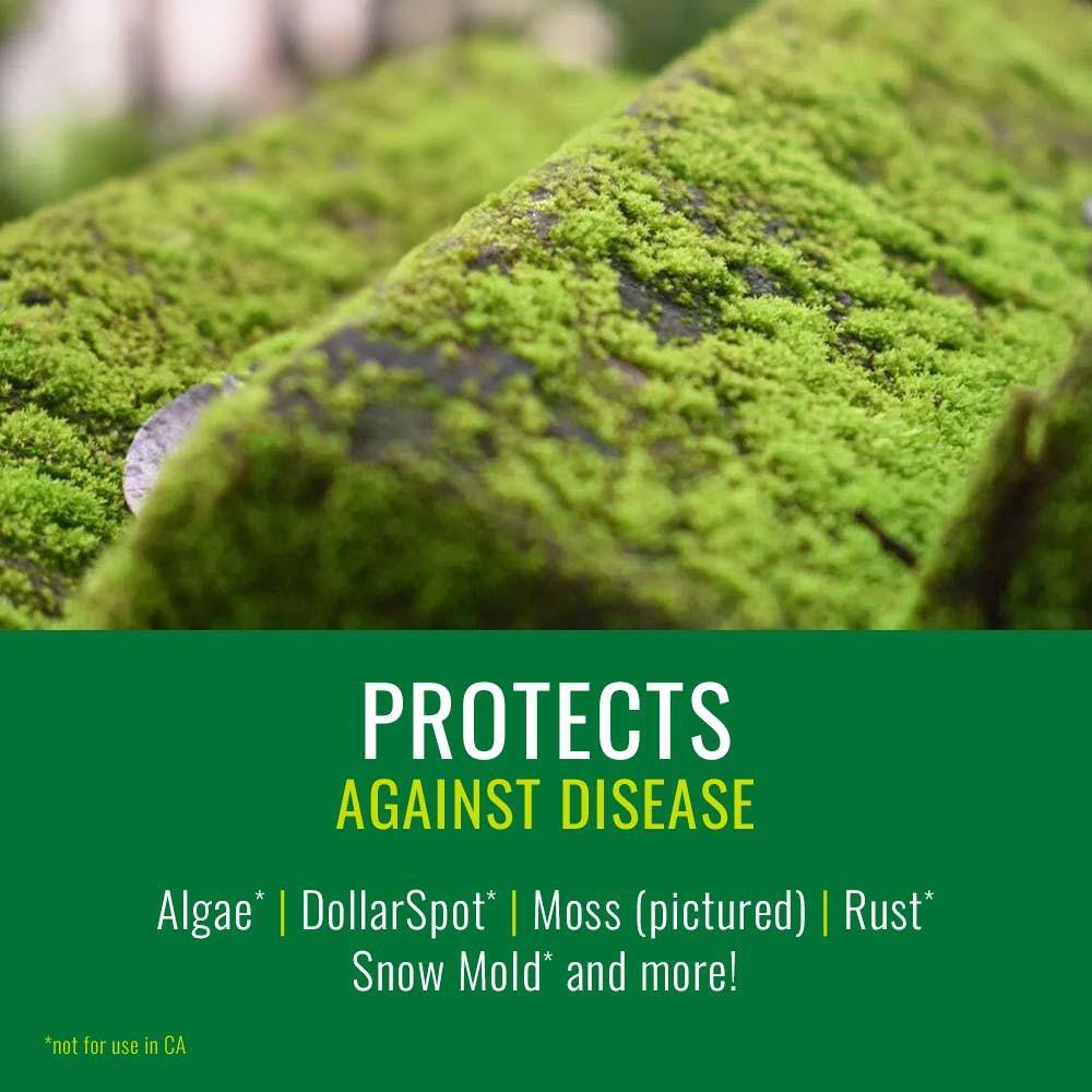 24 oz. Lawn Weed and Diseases Control Concentrate (2-Pack) - Hercitys