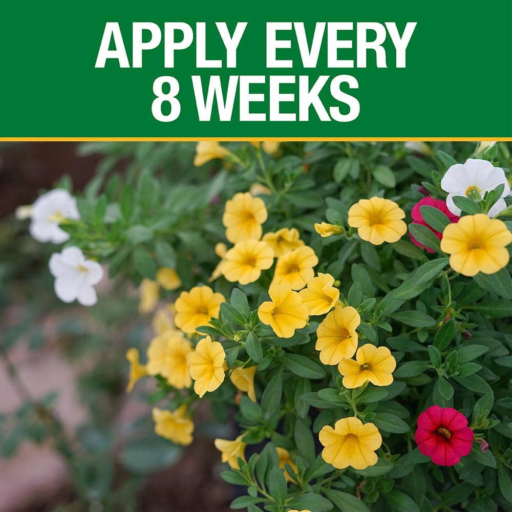 3.5 lb. All Season Bold Blooms Flowering Plant Food (15-30-15) - Hercitys