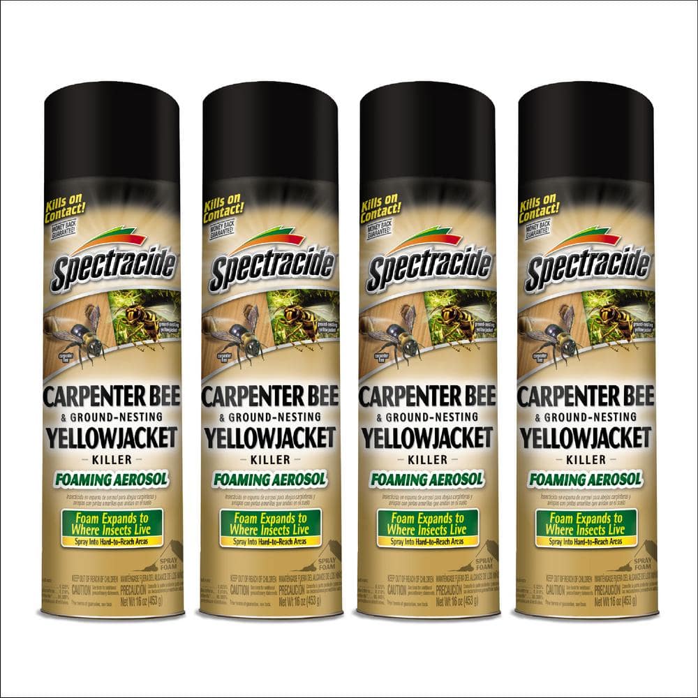 16 oz. Aerosol Carpenter Bee and Ground-Nesting Yellow Jacket Insect Killer Foam (4-Pack) - Hercitys