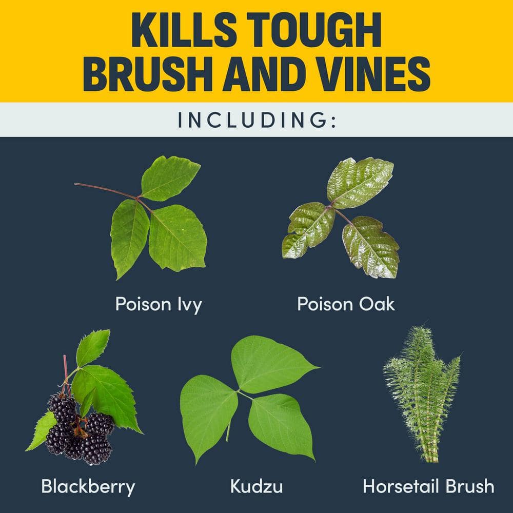 32 oz. Brush and Vine Killer Concentrate - Hercitys