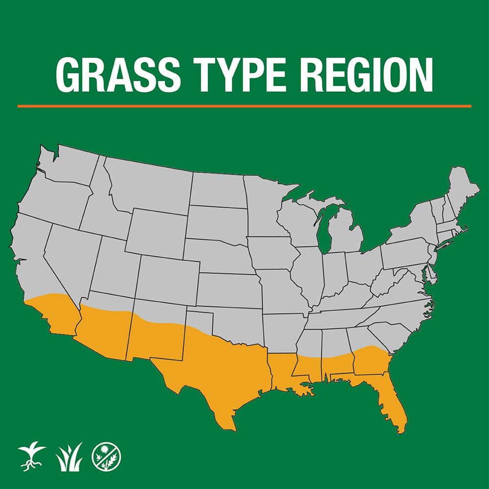 10 lbs. Bermuda Grass Seed Blend with Water Saver Seed Coating - Hercitys