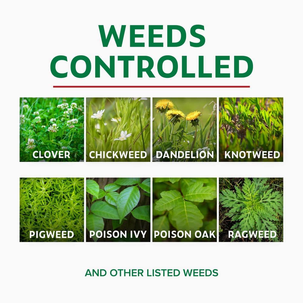 32 oz. 7,500 sq. ft. Spring Ready-to-Spray Concentrate Weed and Feed Lawn Fertilizer - Hercitys