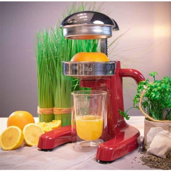 “Positano” Red Citrus Press 8 in. x 9 in. x 9 in. - Hercitys