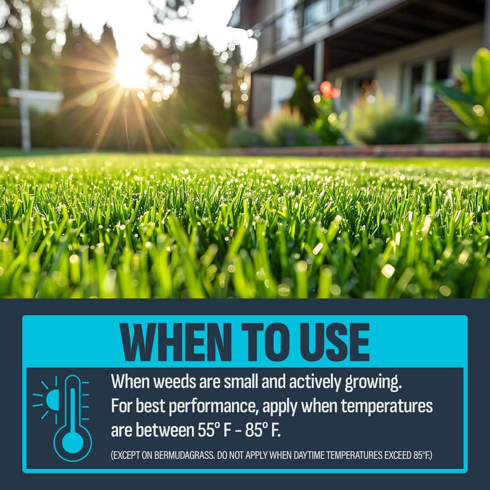 24 oz. 6,000 sq. ft. Crabgrass, Nutsedge and Weed Killer Ready to Spray - Hercitys