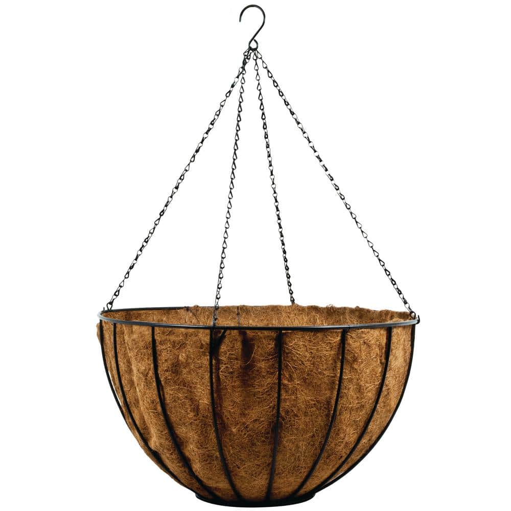 24 in. Steel Hanging Basket with AquaSav Coco Liner and Chain - Hercitys