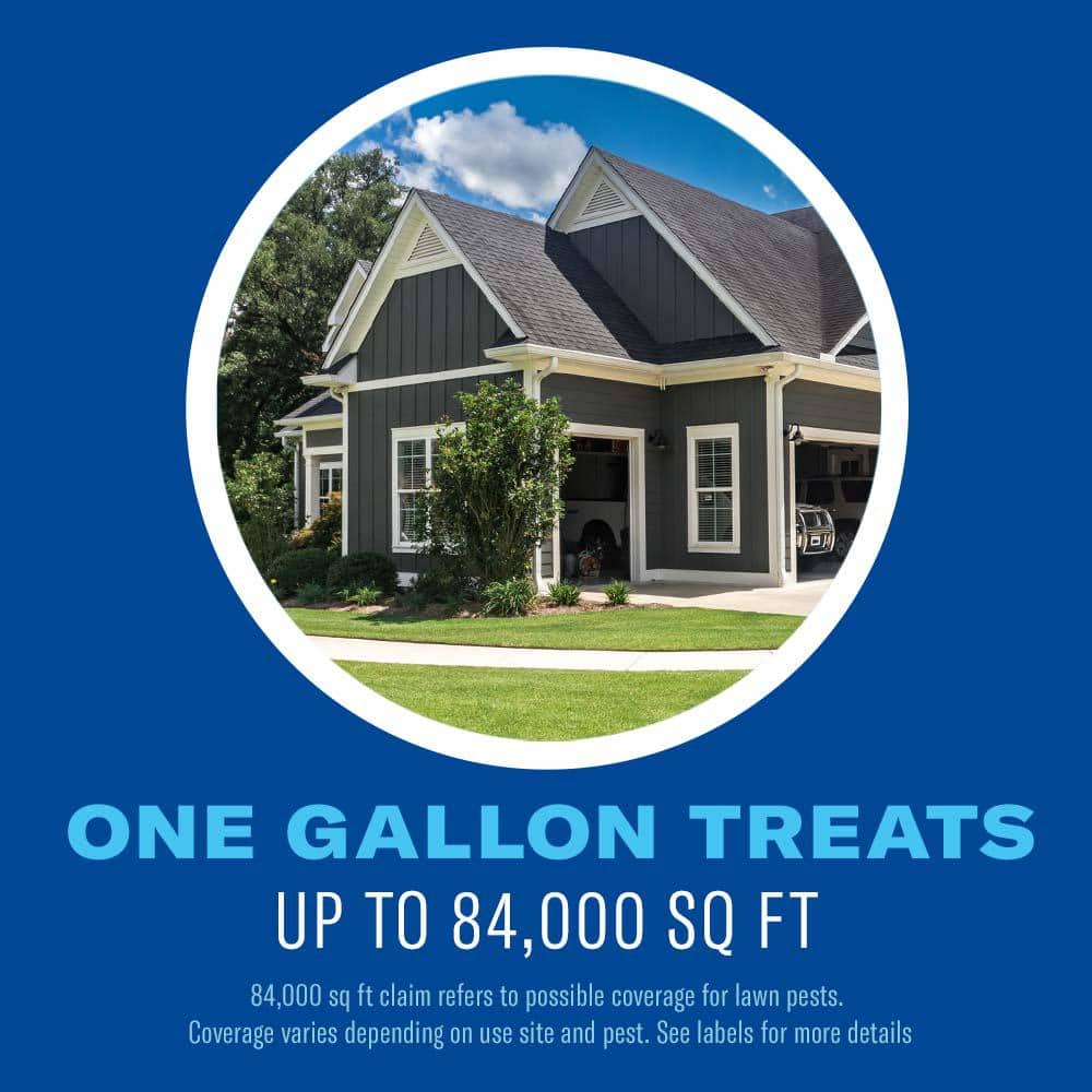 1 Gal. Concentrate Carpenter Ant and Termite Killer Plus - Hercitys