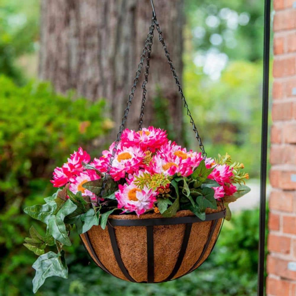 14 in. Dia English Black Metal Hanging Basket with Coco Liner - Hercitys