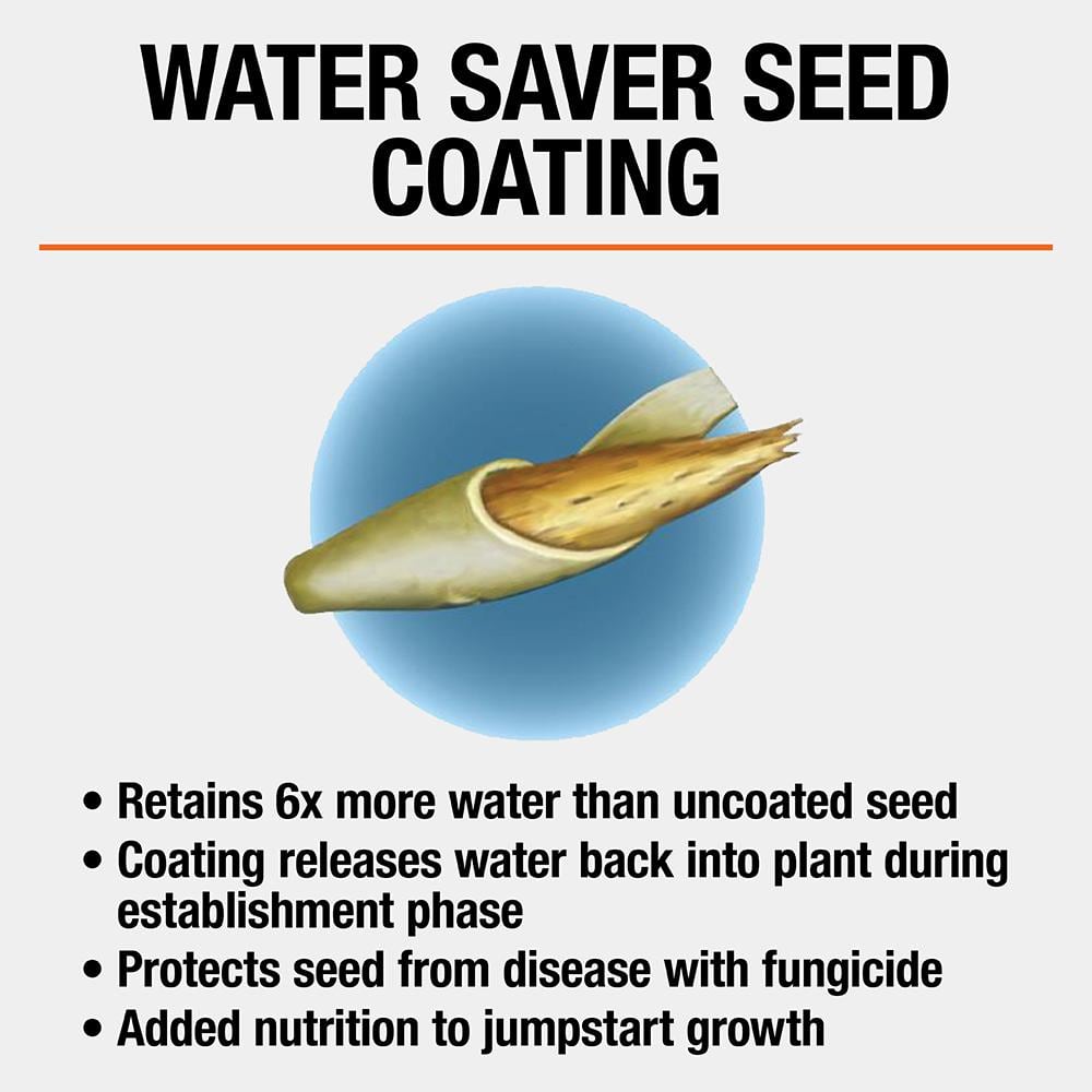 3 lbs. Fast Grass Seed Mix with Water Saver Seed Coating - Hercitys