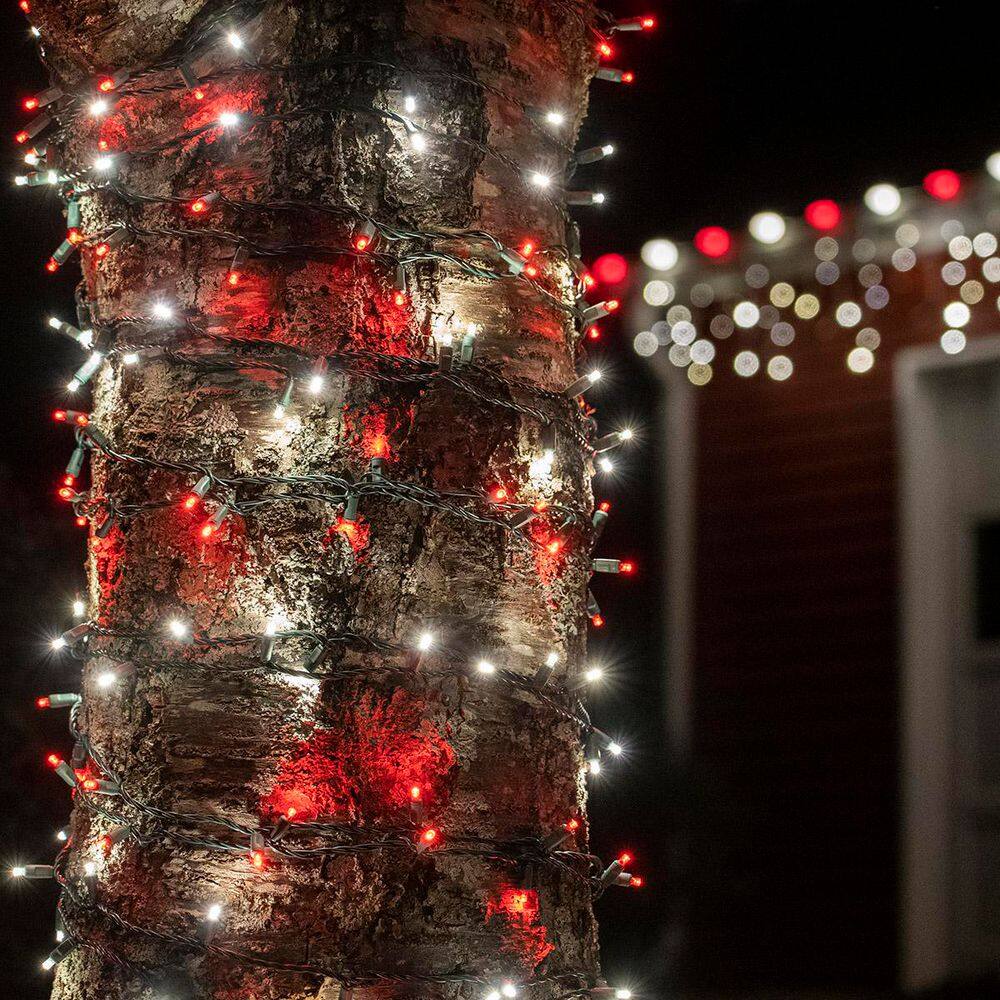 24 ft. 70-Light Red and Cool White 5 mm LED Mini Light Set - Hercitys