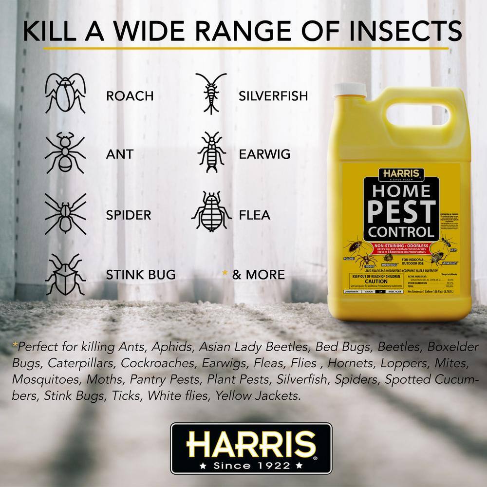 1 Gal. Home Pest Spray and Pest Glue Board (5-Pack) - Hercitys